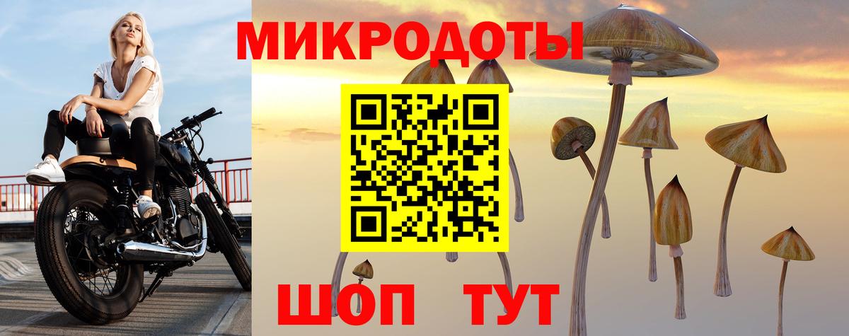 Наро-Фоминск  Псилоцибиновые грибы ЛСД  Вход с VPN 